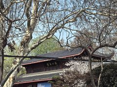 -堤角王师傅牛骨头