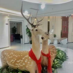 -润泽瑞尼丝医疗美容医院