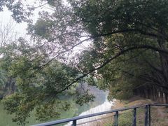 -昆山城市生态森林公园