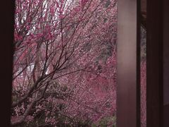 -成都杜甫草堂博物馆