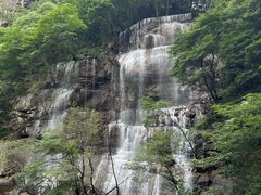 -陕西省红河谷森林公园