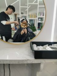 -小齐发型Star~salon
