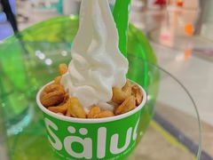 -Salud撒露欧洲冻酸奶(北苑上品店)