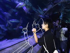 -大连圣亚海洋世界
