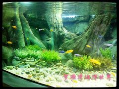 海洋世界-福州罗源湾海洋世界旅游区