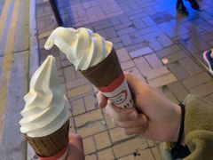 -富豪雪糕车流动点(尖沙咀店)