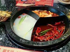 -蜀大侠火锅(森兰花园城店)