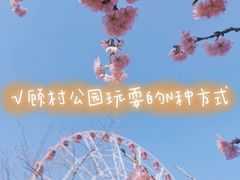 -顾村公园