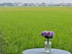 -崖口煲仔饭