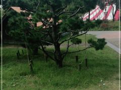 -无锡动物园·太湖欢乐园