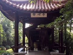 -赭山公园