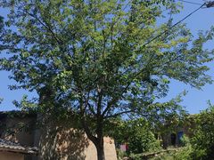 -清风小镇闯关东影视基地