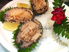 鲍鱼-万宝海鲜舫(劳动公园店)