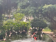 -九龙公园