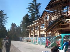 景点-五营红松林海景区