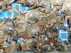 -半岛听涛蒸汽海鲜自助(K11店)