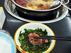 -金鼎雪山牦牛杂火锅(理县总店)