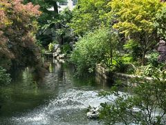 -上海醉白池公园