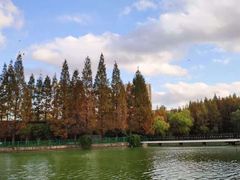 -黄兴公园