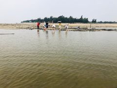 -北海金海湾红树林生态旅游区