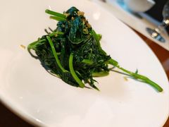 -觀芷隐轩