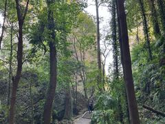 -窦圌山风景区