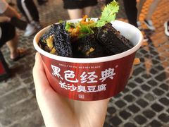 -黑色经典臭豆腐·湖南特产(坡子街店)