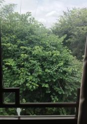 -莲生母婴月子中心(清水河公园店)