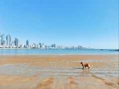 -青岛第三海水浴场