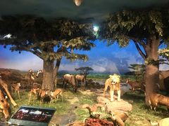 -国家自然博物馆