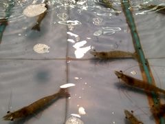 -永辉超市(百子湾店)