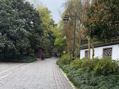 -杭州植物园