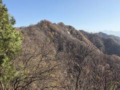 -抱龙峪