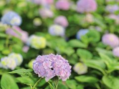 -常州古运河南大街文化旅游区-人民公园