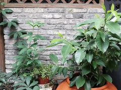 -见山书院