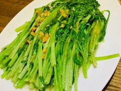 豆酱空心菜-潮中人·潮州菜(益乐路店)