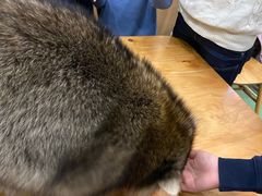 -藦茜花园宠物主题亲子互动体验馆(国顺东路店)