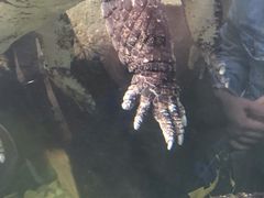 -波塞冬旅游度假区