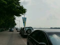 -大湾区中央湿地公园-十九涌