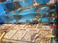 -潮庭·大连海鲜·炭火烧烤·扇贝王(大连店)