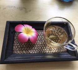 -菲秀家科技美颜SPA生活馆