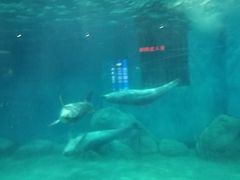 -福州罗源湾海洋世界旅游区