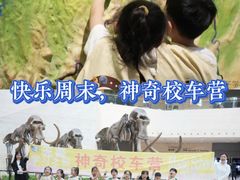 -金豆子幼稚园