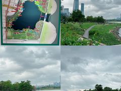 -深圳人才公园