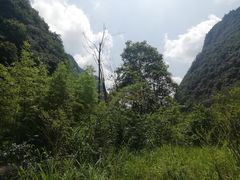 -娄山关景区