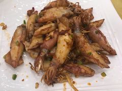 -鸿达渔港