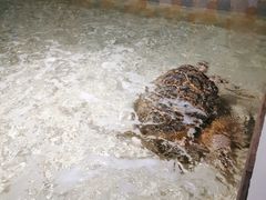 -常州海昌海洋探索馆