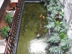 -福禧酒窖·中餐厅 (万柳店)