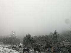 -硗碛藏寨·神木垒景区