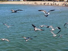 -那香海钻石沙滩浴场